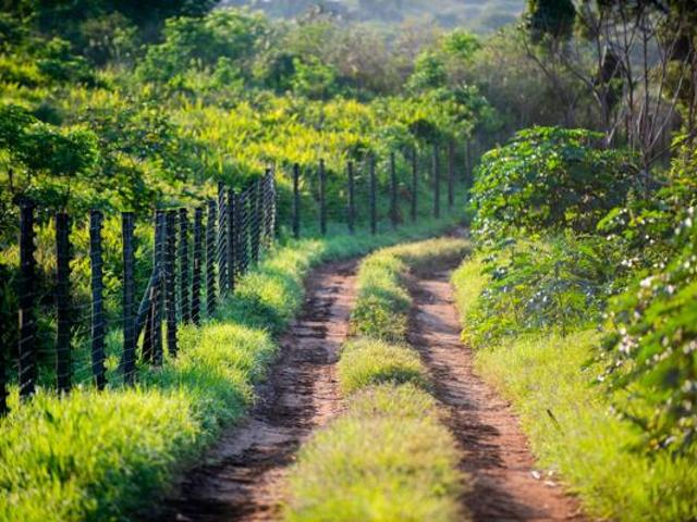 588 m² Land available in Lalela Estate