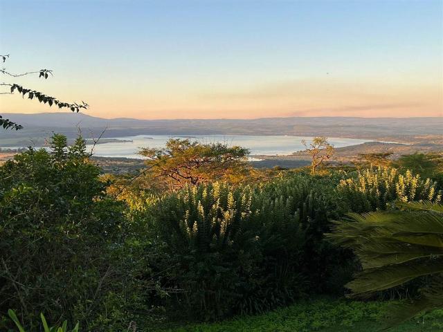 58.2 ha Farm in Greytown