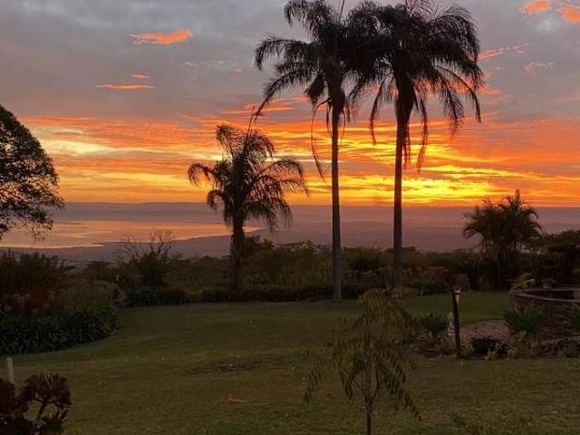 58.2 ha Farm in Greytown