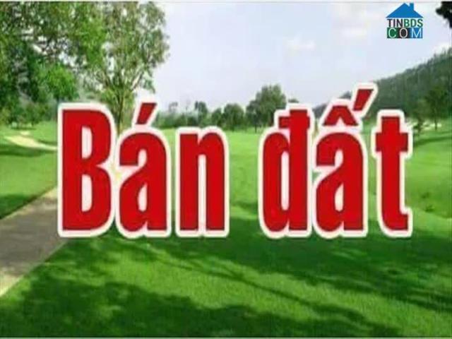58 Lô Góc Tân Hoà 10 DT 160M2 Ngang Gần 9m Tt Thanh Khê Mặt Tiền Chợ Tân An