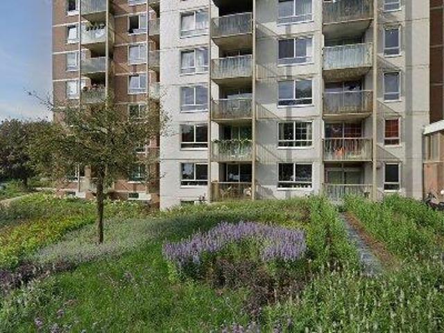 58 m2 apartment for rent in Nijmegen