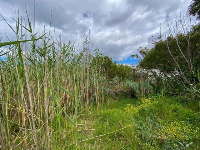 598 m² Land available in Bettys Bay