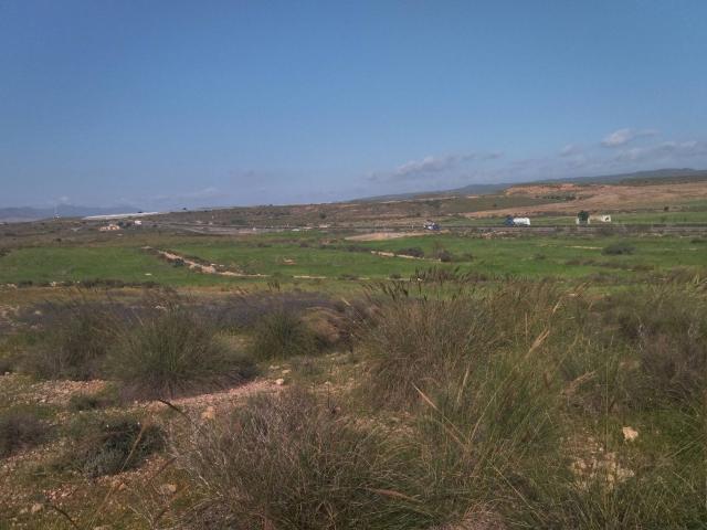 59.574M2 FINCA RUSTICA EN TERMINO MUNICIPAL DE NIJAR. POLIGONO 71 Y POLIGONO 89