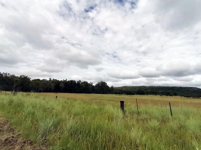 59 ha Land available in Lydenburg