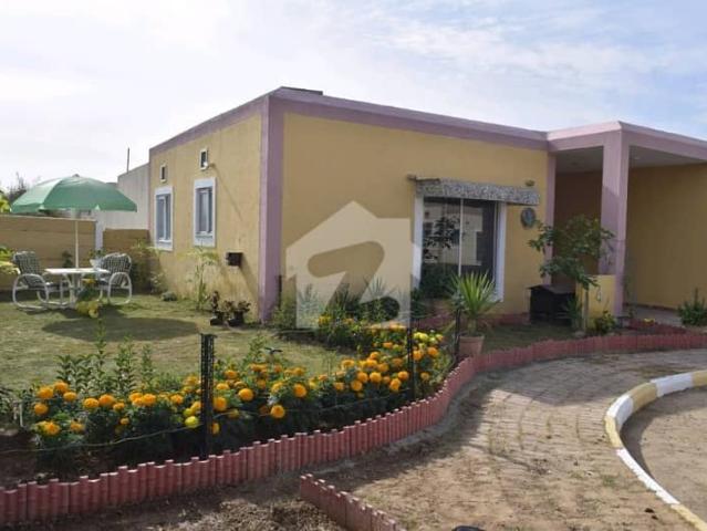5 Marla Brand New House For Sale In Oleander Sector
