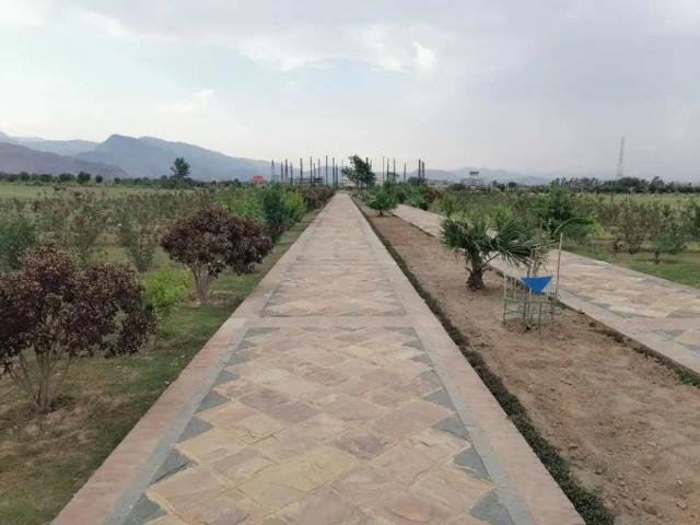 5 Marla Corner Plot For Sale In Regi Model Town Zone 4 Peshawar ID 30333