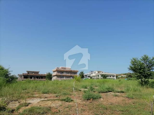 5 Marla Double Road Corner Plot With Extra Land