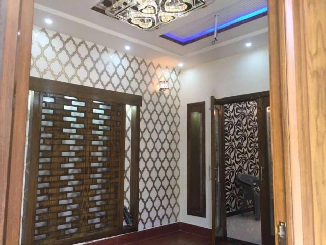 5 marla full house for rent hot location johar town lahore johar town id 38317