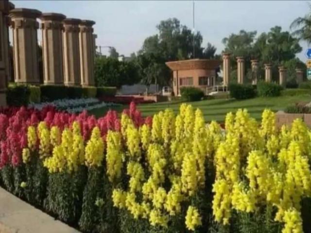 5 marla house foe Sale at Wapda city Faisalabad ID 64513