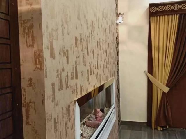 5 marla house for sale in johar town H2 block, demand 1crore 30lacs Lahore Salaar Residency ID 68070