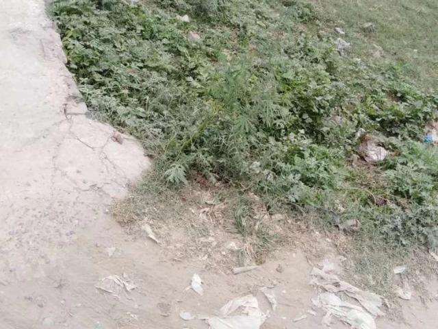 5, marla k 3 plot for sela Sialkot ID 16575