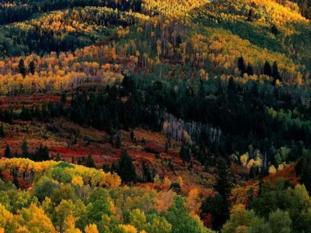 5 marla ka plot ha Abbottabad ID 37506