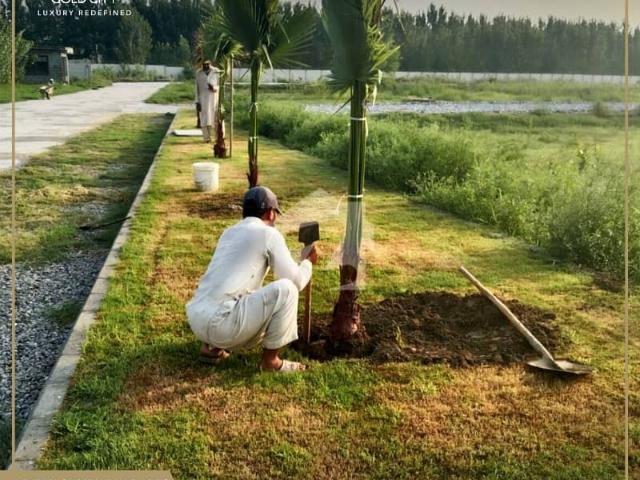 5 Marla Plot Available At Block F