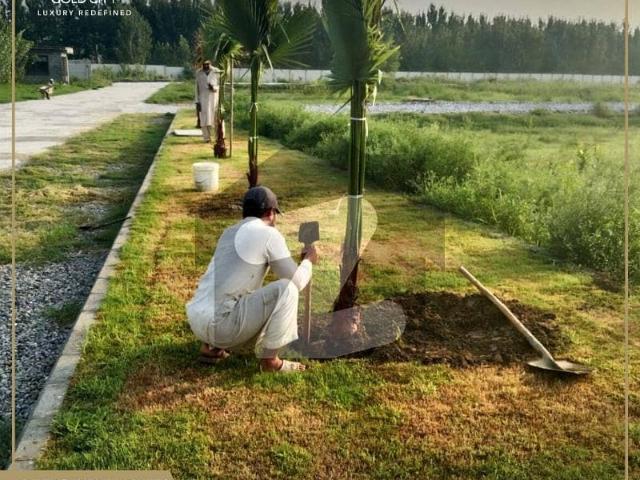 5 Marla Plot Available At Block F