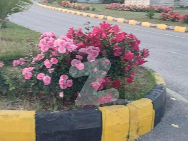 5 Marla Plot Available For Sale In F Block