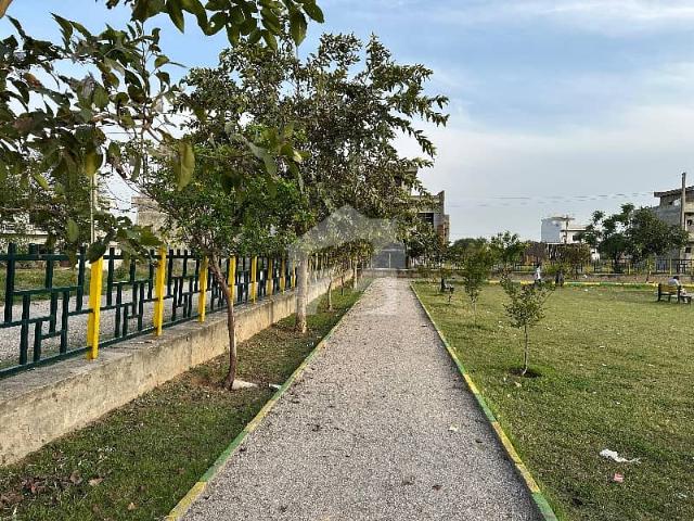 5 Marla Plot Available for Sale in I 16