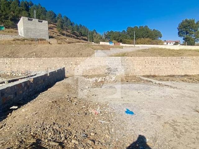 5 Marla Plot For Sale In Bilqias Town