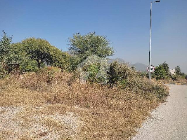 5 Marla Plot For Sale In D 12/1