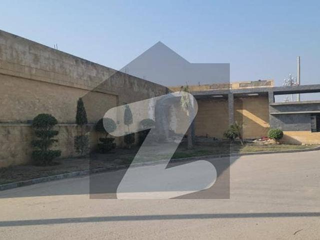 5 Marla Posession Plot In Kings Lane, Chahar Bagh, Ruda