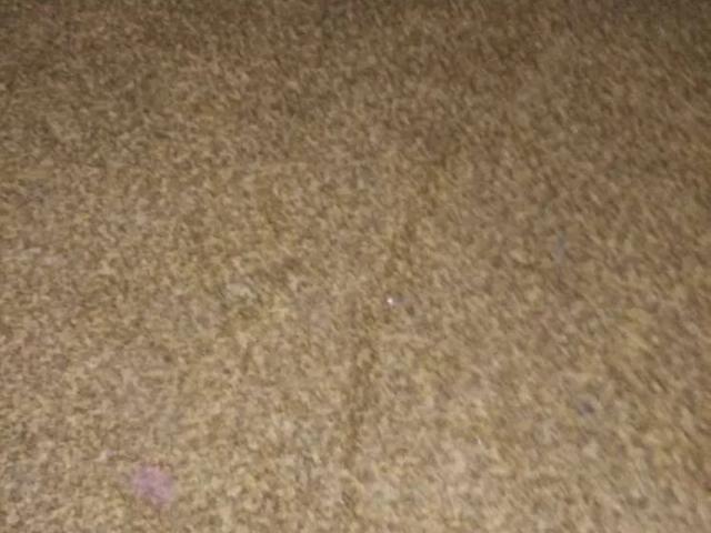 5 marla portion available in johar town Lahore Johar Town ID 14240