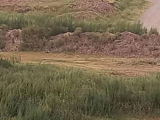 5 marla residential plot for sale in I 16, Islamabad I 16 ID 82727