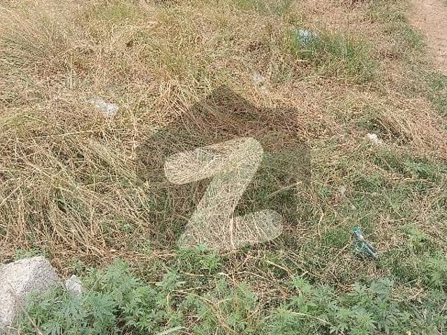 5 Marla Residential Plot For Sale In Samarzar Housing Society