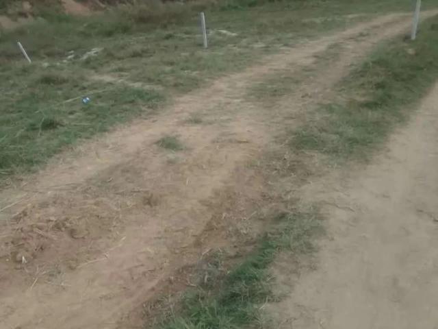 5 marlas house for rent Rawalpindi Gulistan Colony ID 06872