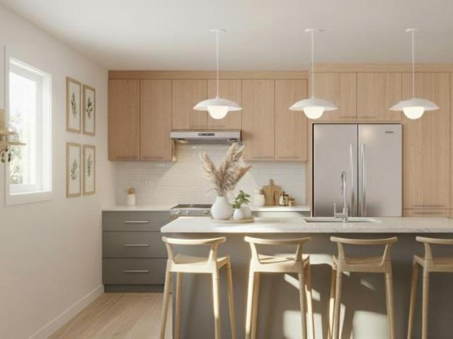 5½ Neuf à Louer — Saint Wenceslas/Bécancour — 3 chambres | Wi Fi inclus | Chiens acceptés | 1 295$/mois