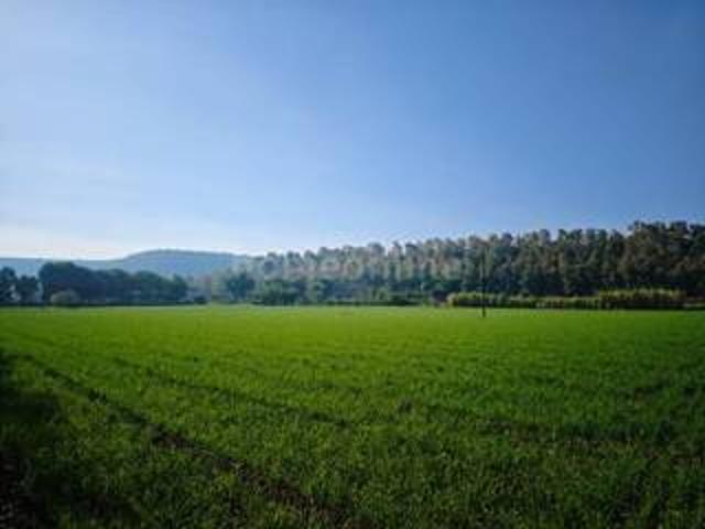 5 acre Agricultural land in Choral, Indore | Commercial