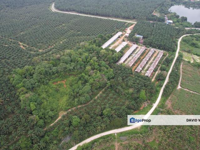 5 Acre Agriculture Land for at Trong, Taiping
