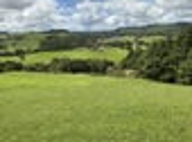 5 acre Block Waiting For You