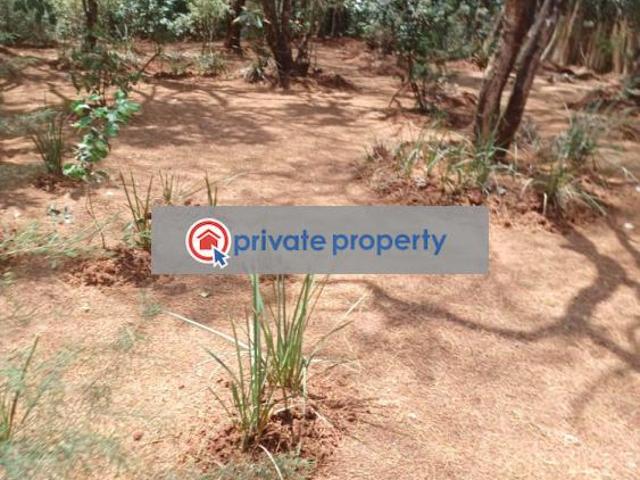5 Acre Parcel In Karen