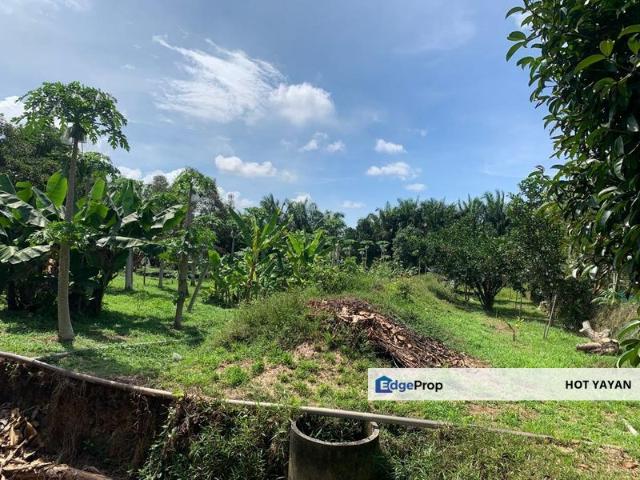 5 Acres Freehold Agriculture Land with Ready Chicken Farm – Morib
