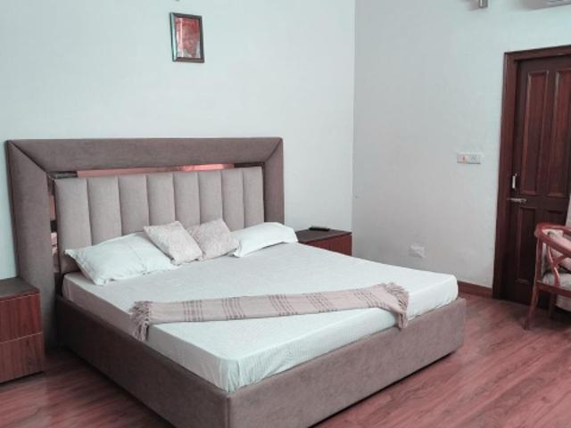 5 Bedroom 250 Sq.Yd. Independent House in Sector 12 Panchkula Listing ID: #8988
