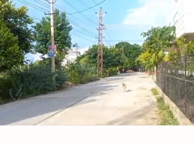 5 Bedroom 4200 Sq.Ft. Villa in Electricity Board Area Kota Listing ID: #10349