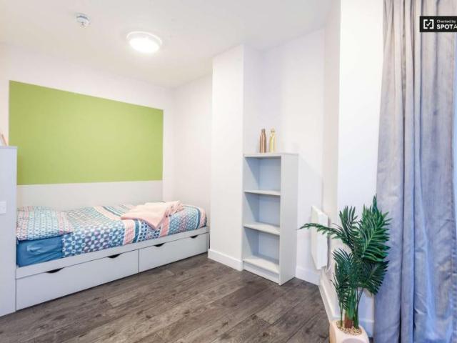 5 Bedroom Apartment Dublin Dublin D08 R596 101823937