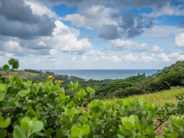 5 Bedroom Apartment in Zululami Luxury Coastal Estate
