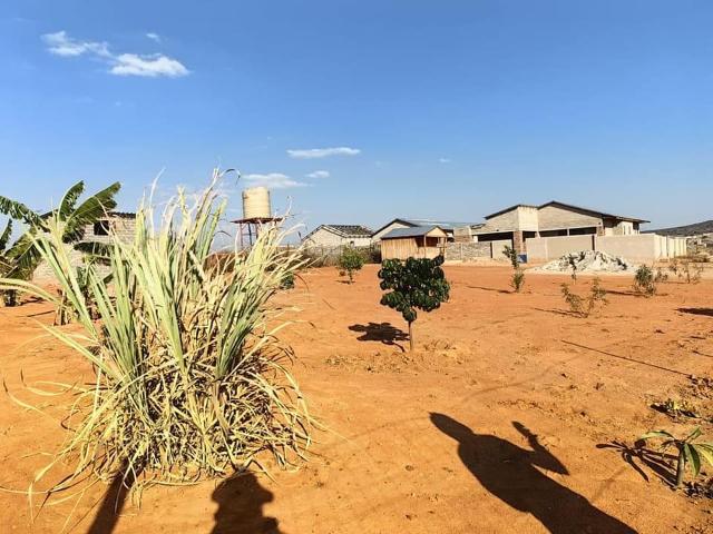 5 bedroom house for sale in dalmada mamahule