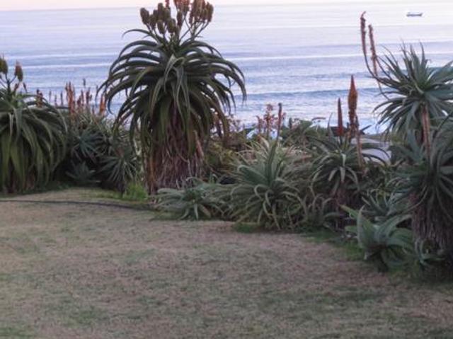 5 Bedroom House in Beachview