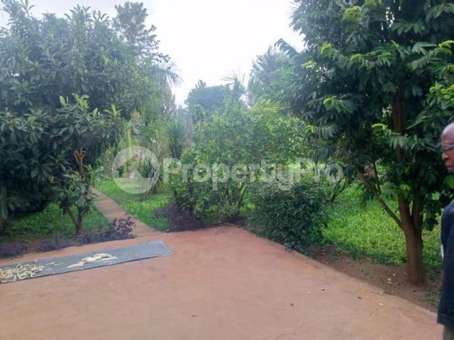 5 bedroom Townhouses Houses for rent KAMITI ROAD Kasarani Nairobi PID: 6BLTQ | PropertyPro Kenya