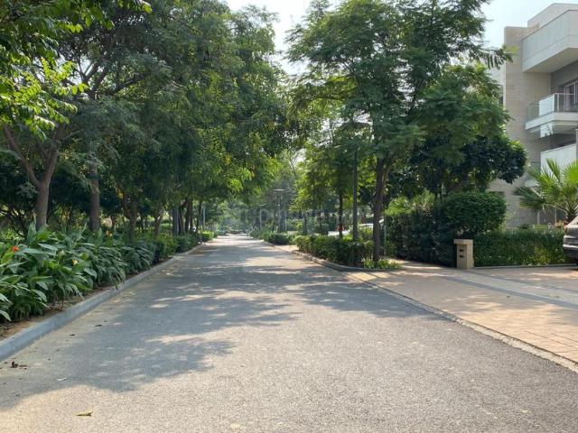 5 BHK Duplex in Sector 109 for resale Gurgaon. The reference number is 20379066
