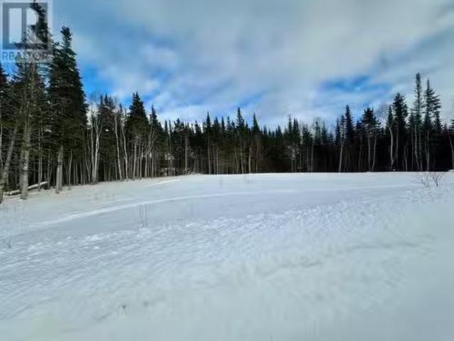 5 Cherrywood Avenue, Cormack, NL, A8A 2M5 vacant land for sa.