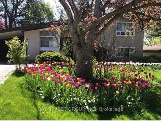 5 Cottonwood Drive, Toronto, ON, M3C 2B3 house for lease | Listing ID C13486 | Royal LePage
