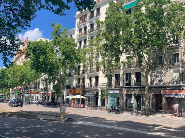 5 Dormitorio Apartamentos Madrid Madrid 103256868