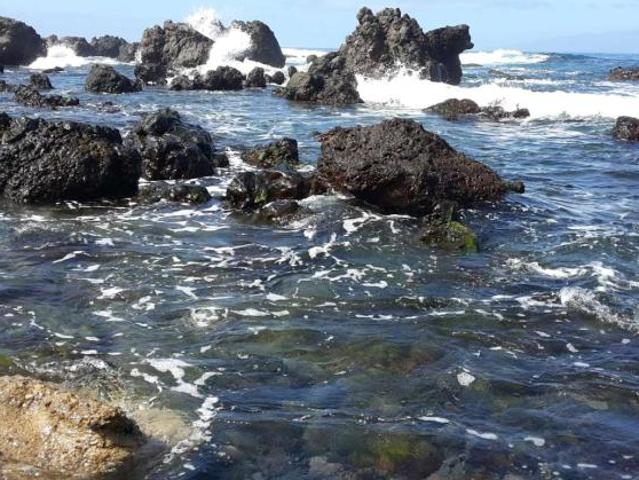 5 Dormitorio Apartamentos Santa Cruz De Tenerife Santa Cruz De Tenerife 101820336