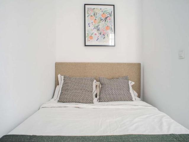 5 Dormitorio Shared Living/Roommate Malaga Malaga 98428418