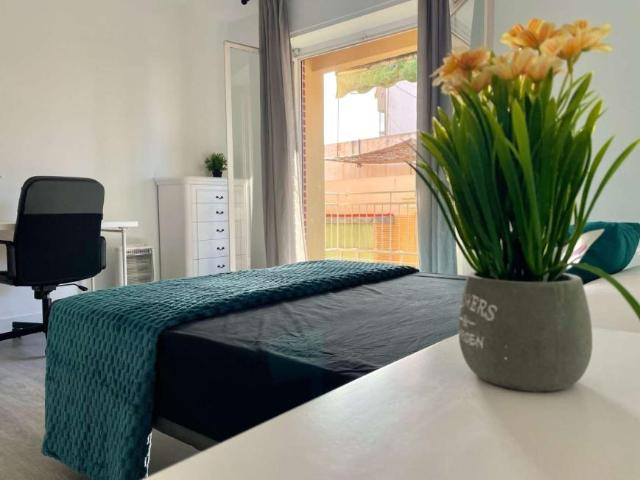 5 Dormitorio Shared Living/Roommate Alicante Alicante 102310046