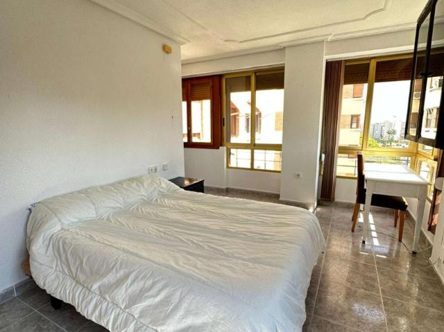 5 Dormitorio Shared Living/Roommate Alicante Alicante 103925577