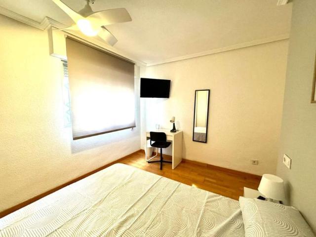 5 Dormitorio Shared Living/Roommate Alicante Alicante 104643778