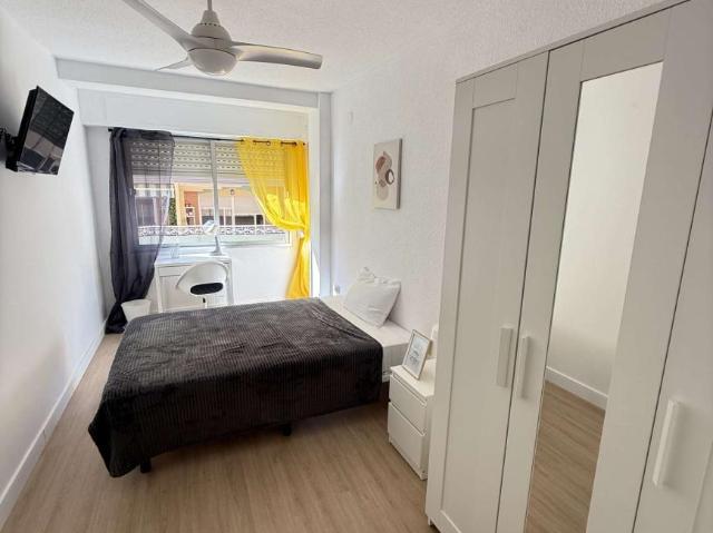 5 Dormitorio Shared Living/Roommate Alicante Alicante 104601153